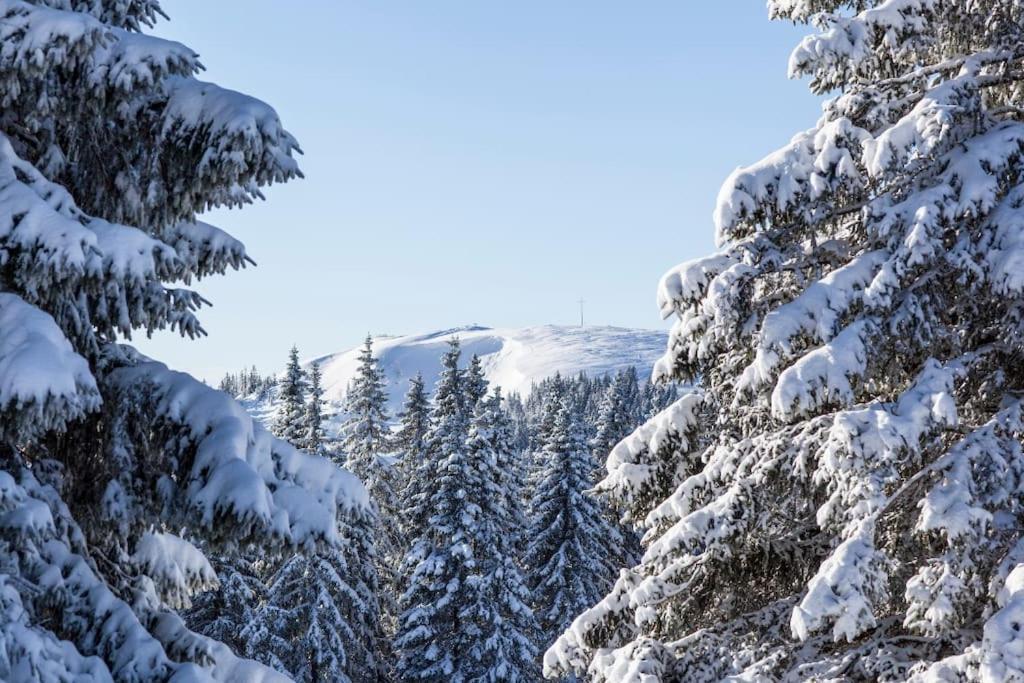 Waldtwin 2 Titisee Екстериор снимка