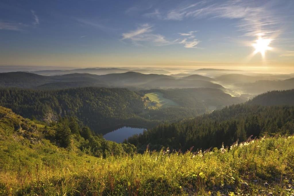 Waldtwin 2 Titisee Екстериор снимка